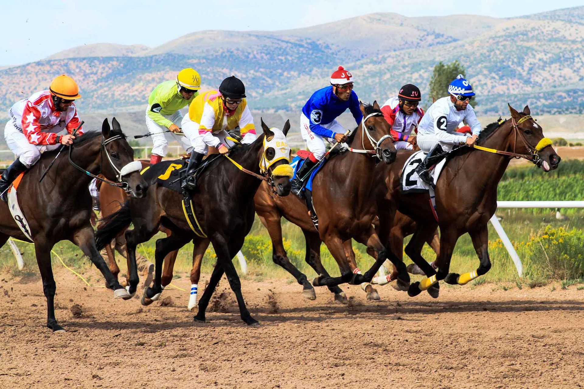4 Horse Betting Tips & Tricks You Must Use